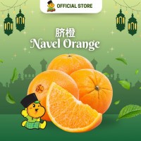 Navel Orange (5pcs/pkt)