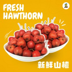 Fresh Hawthorn ( 200g+/- )