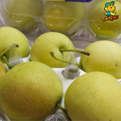 Champagne Pear (600gm/pkt)