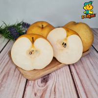 Xing Gao Pear (2pcs/pkt)