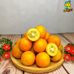 China Golden Tangerine / Kumquat (400g/pkt)