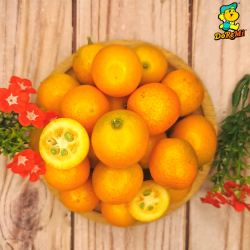 China Golden Tangerine / Kumquat (400g/pkt)