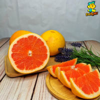 Grapefruit (2pcs/pkt)