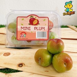 Mini Cherry Plum (500g/pkt)