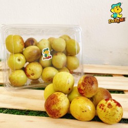 Winter Jujube (300g/pkt)